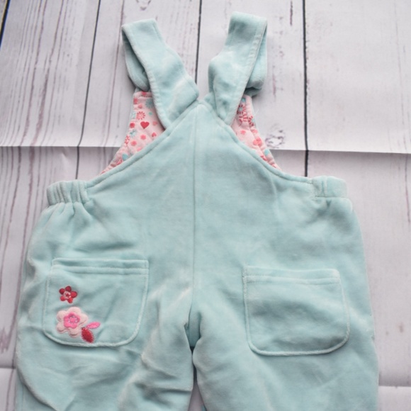 Pumpkin patch Overalls - Picture 4 of 4